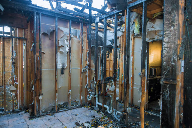 Professional Fire Damage Assessment technician working in Spruce Pine, NC